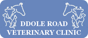 Ddole Road Veterinary Clinic logo image